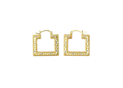 Three Tone Plated | Fashion Earrings